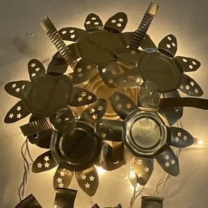 Meet your Posher, Carey